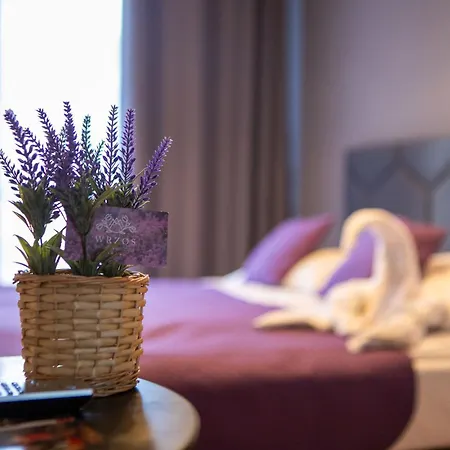 Wrzos & Wellness Отель *